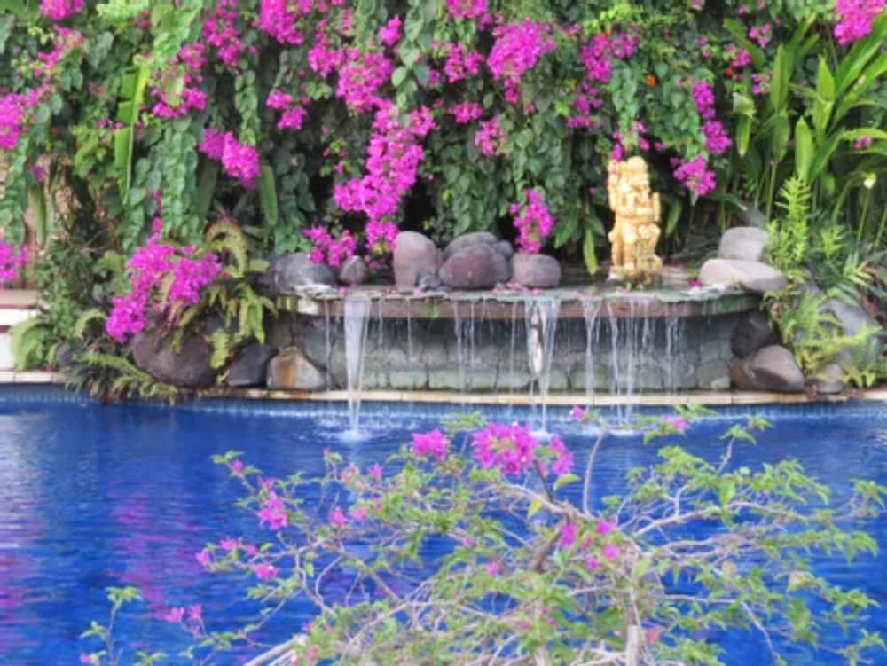 THE WATER GARDEN - Duplicate 45/50