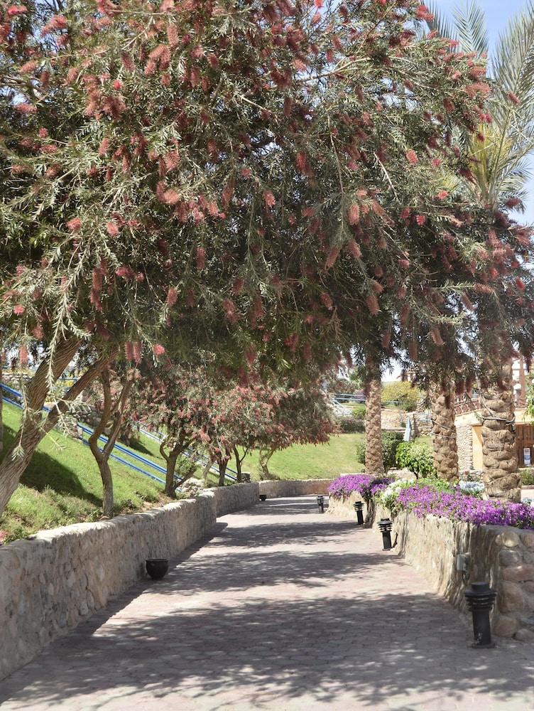 Queen Sharm Resort 43/50