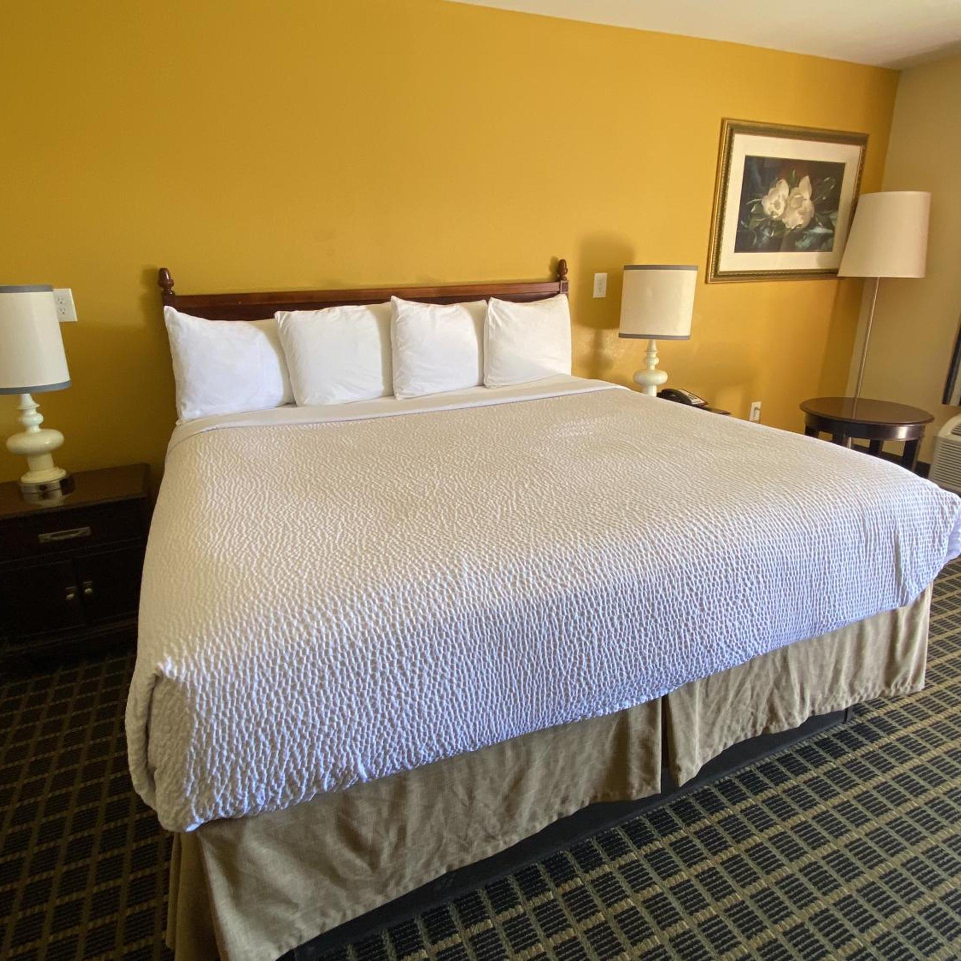 Travel Inn 8/20