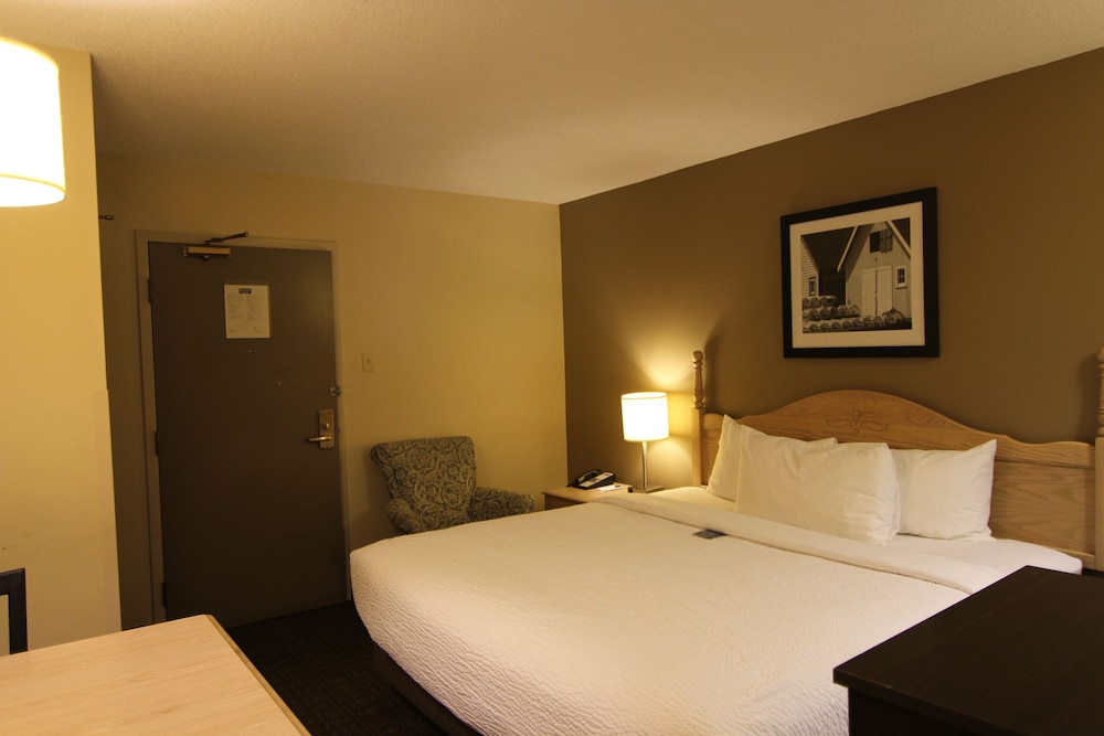 2 Bedrooms, Suite, 2 King Beds