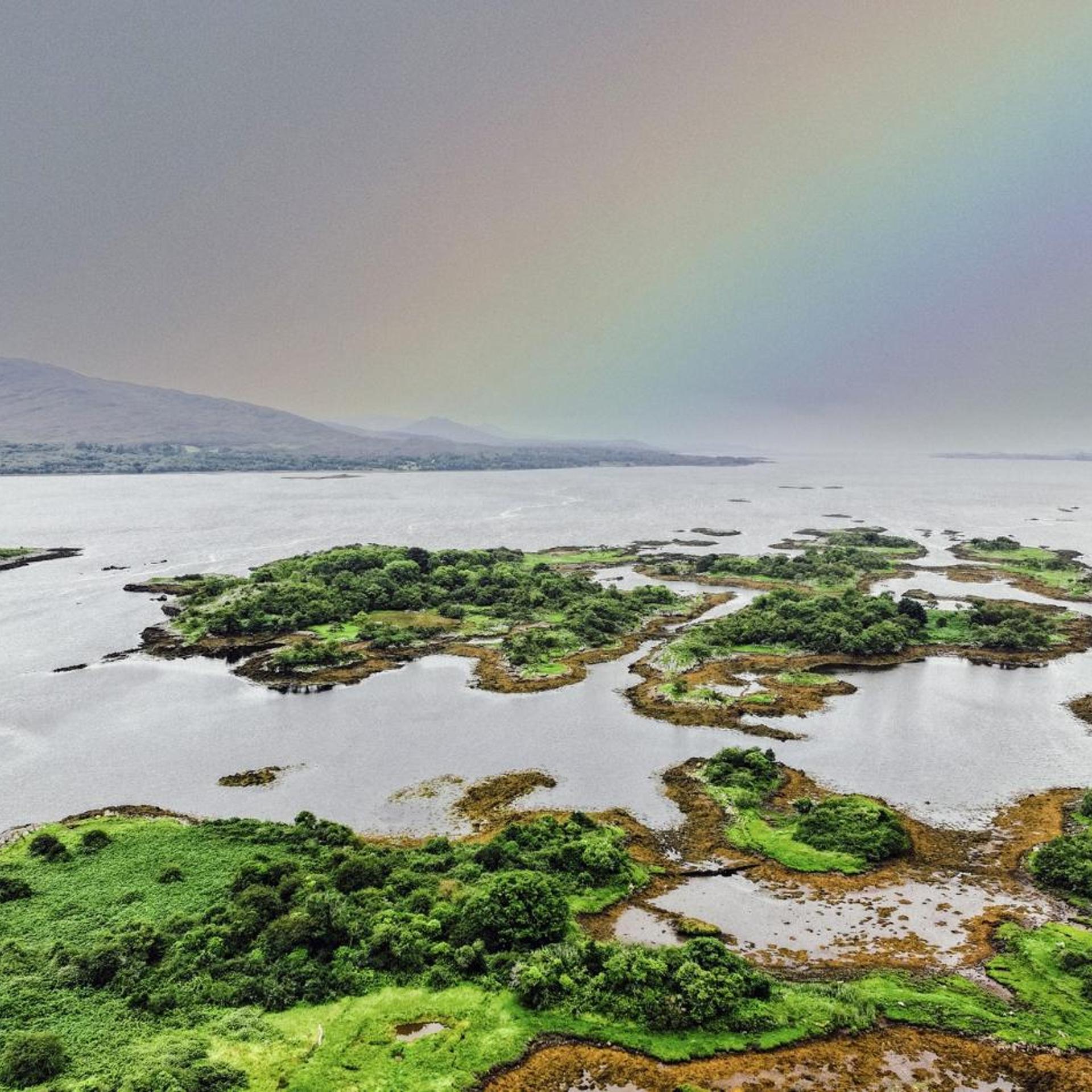 Kenmare Bay 50/54