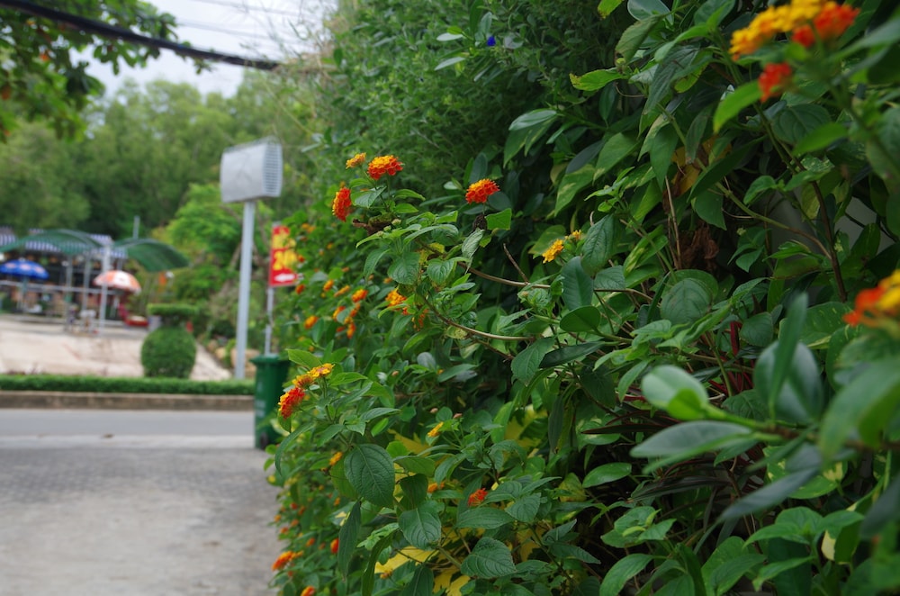 Ngoc Chau Hotel 52/60
