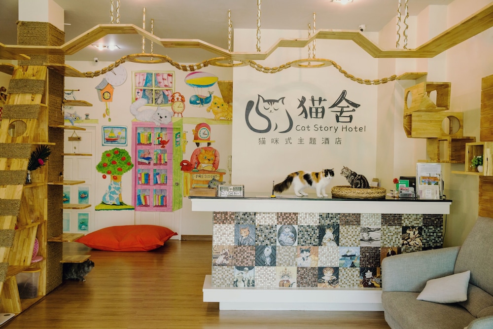 Cat Story Hotel 4/34