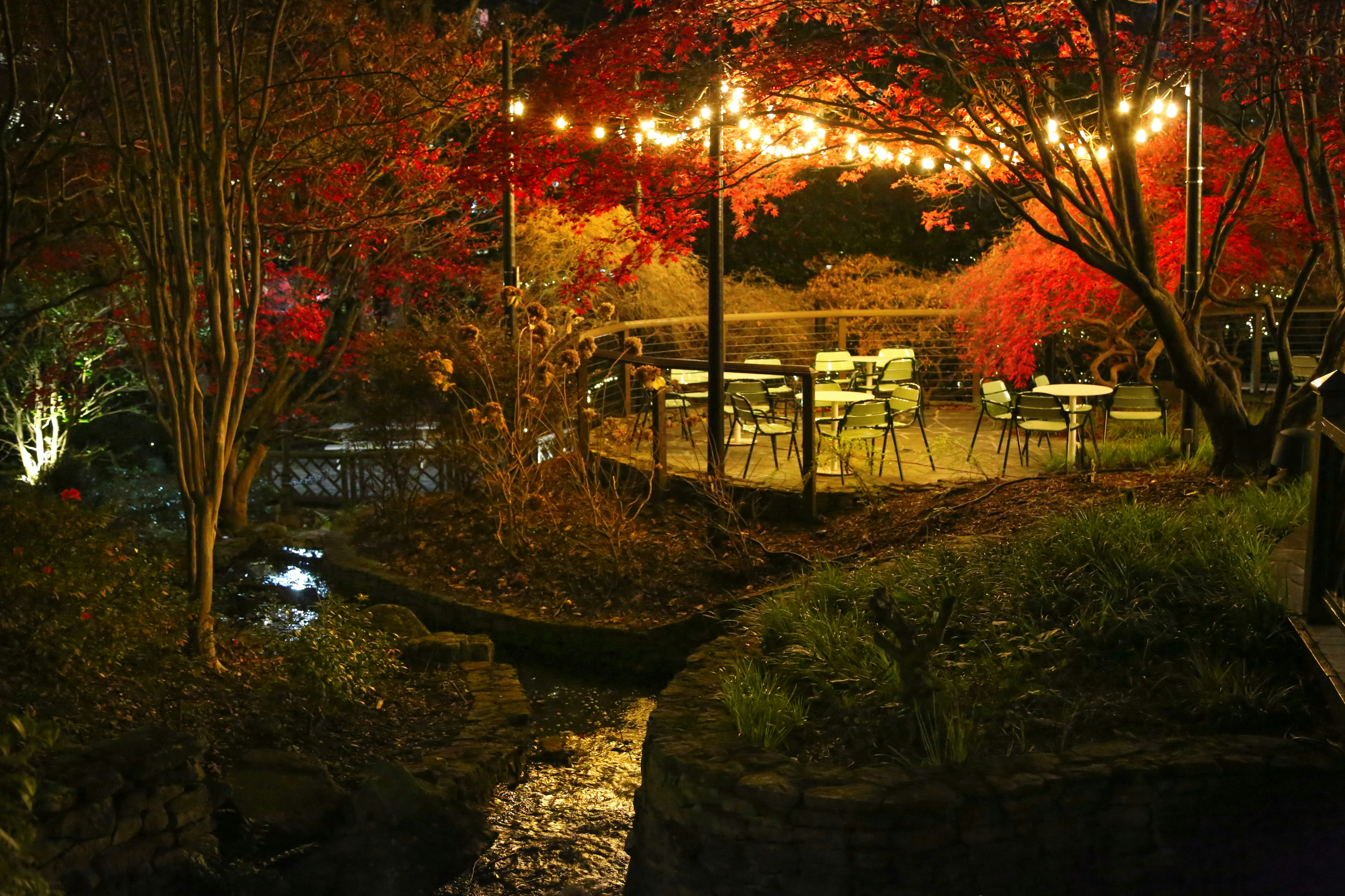 Crowne Plaza Atlanta Perimeter At Ravinia 72/78