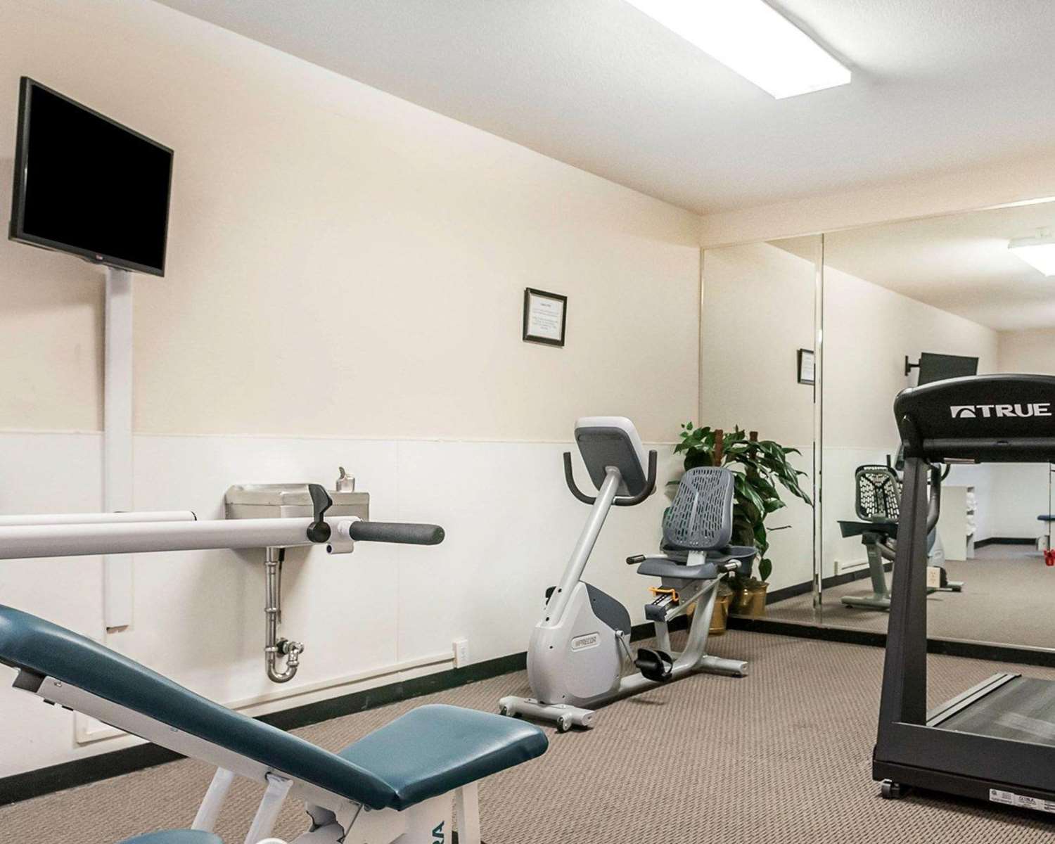 Quality Inn & Suites Albuquerque West 8/16