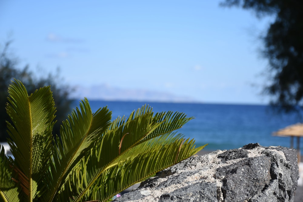ARION BAY 16/18
