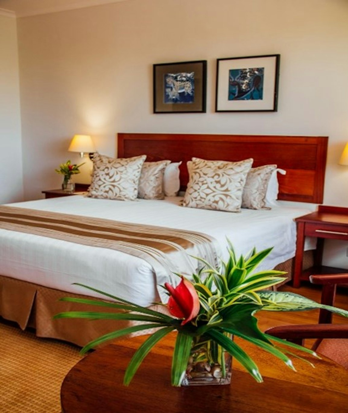 Sea Cliff Court Hotel Luxury Apartments 8/16