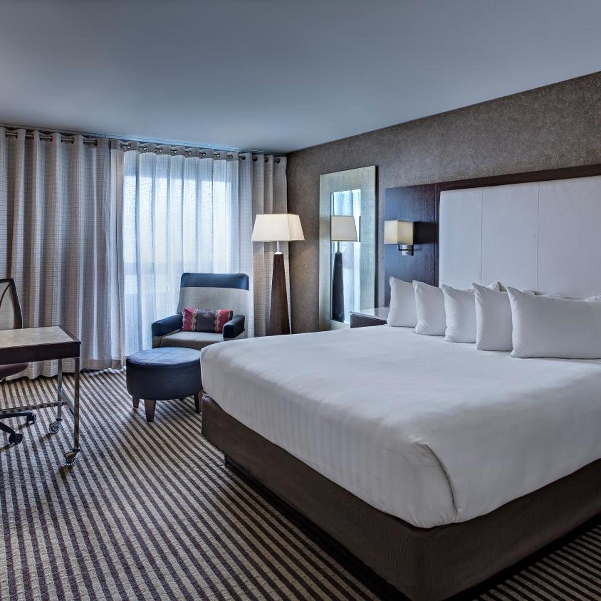 Room, King Bed, Allergy Friendly