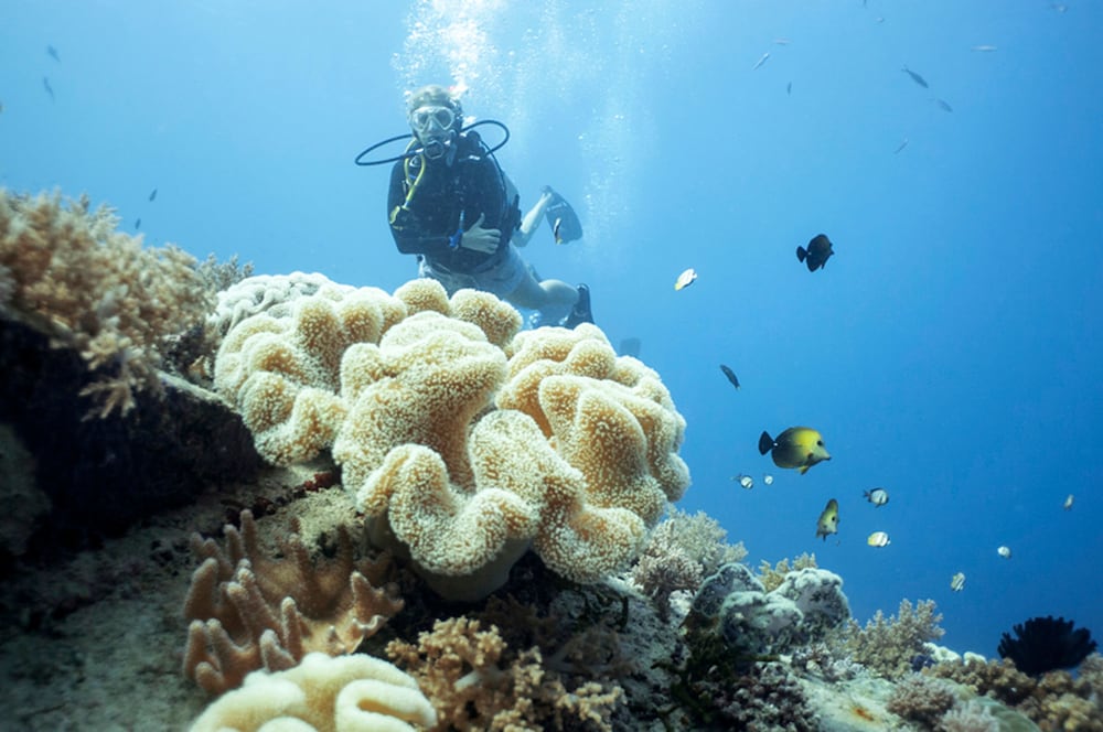 Manta Dive Resort Gili Air 52/63
