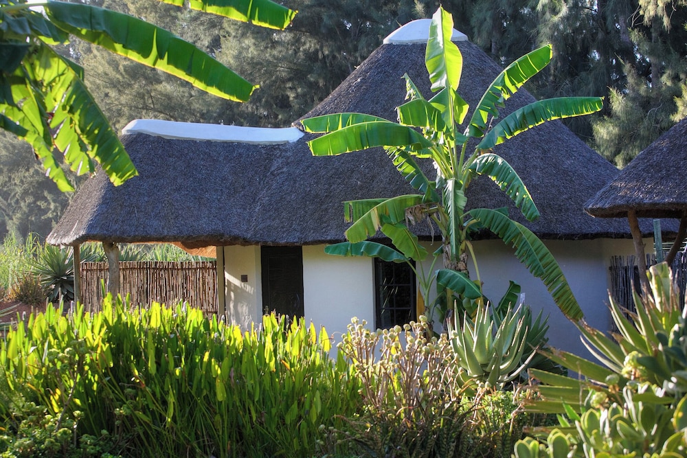 Addo African Home 47/50