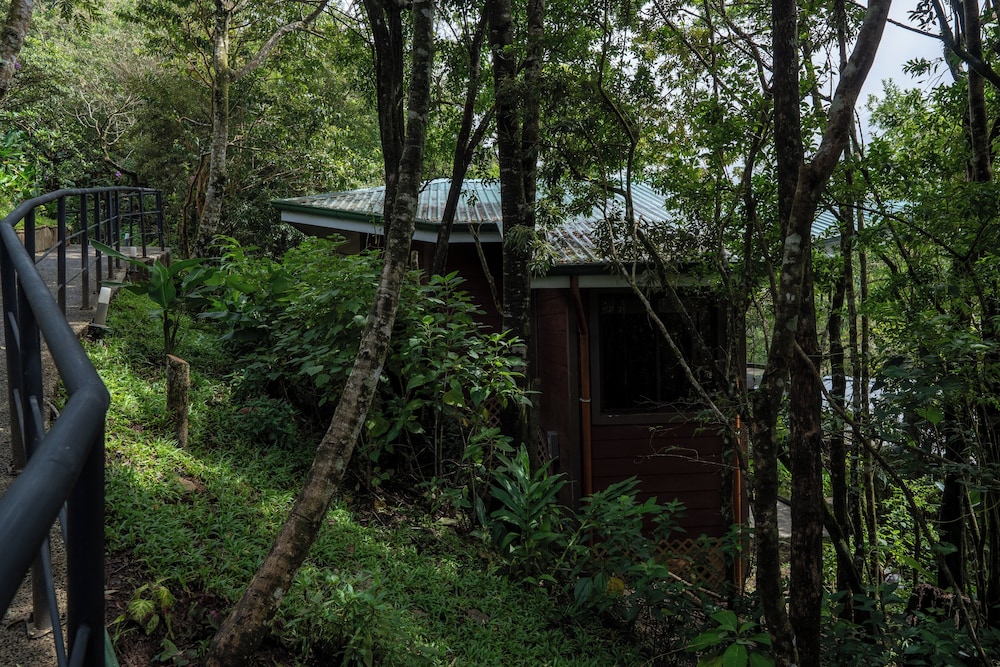 Koora Hotel a Cloud Forest Hotel By Sandglass 52/60