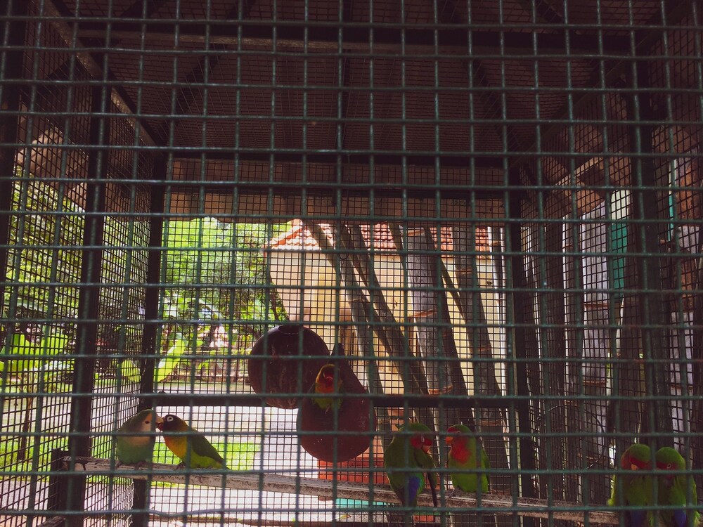 PALM GROVE SERVICE VILLA 32/48