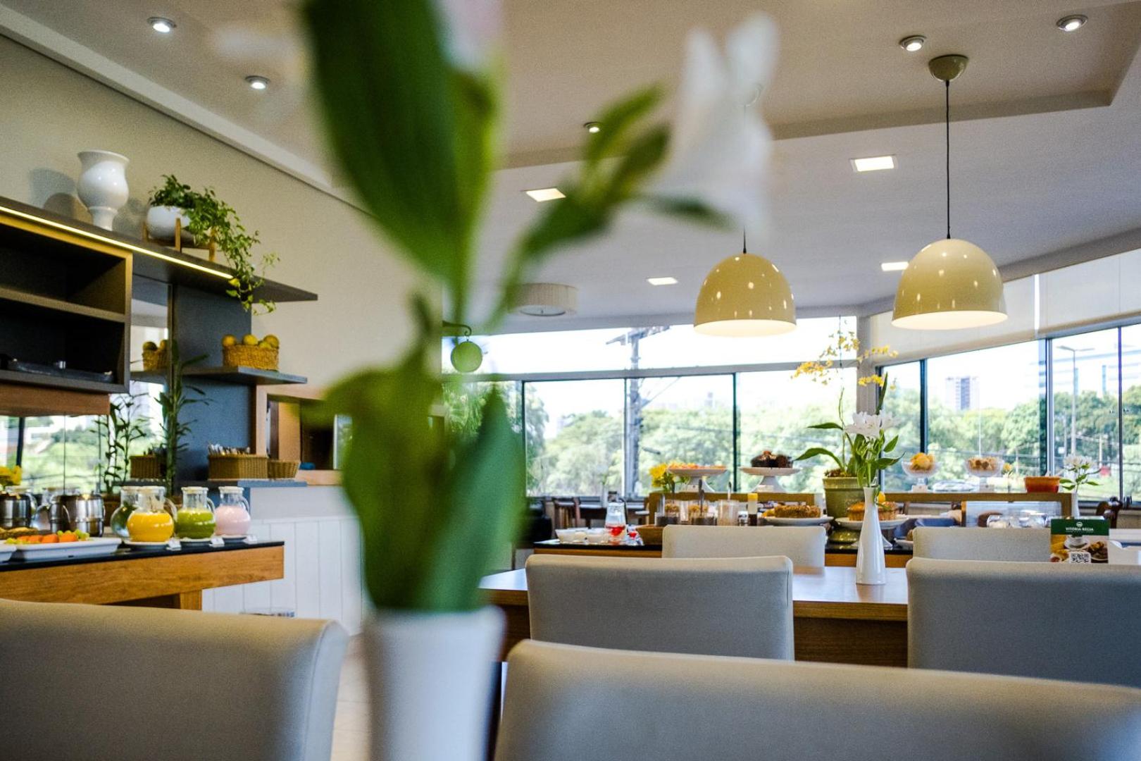 Vitoria Regia Hotel 33/50