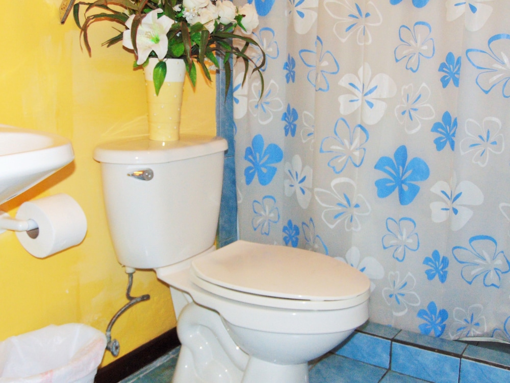 Casa Lima Bed & Breakfast 50/50