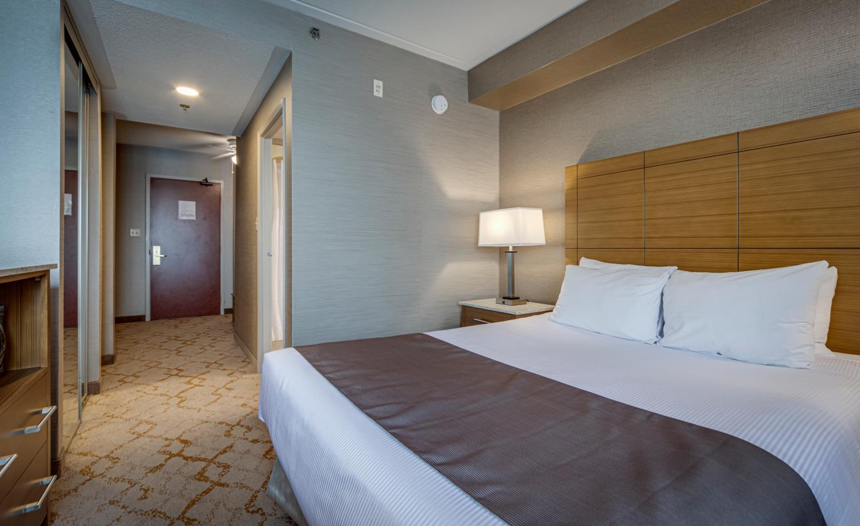 Studio, Suite, Queen Bed, Sofa