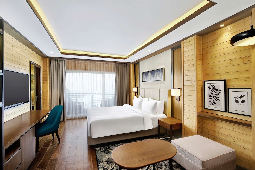Radisson Blu Resort Dharamshala 15/79