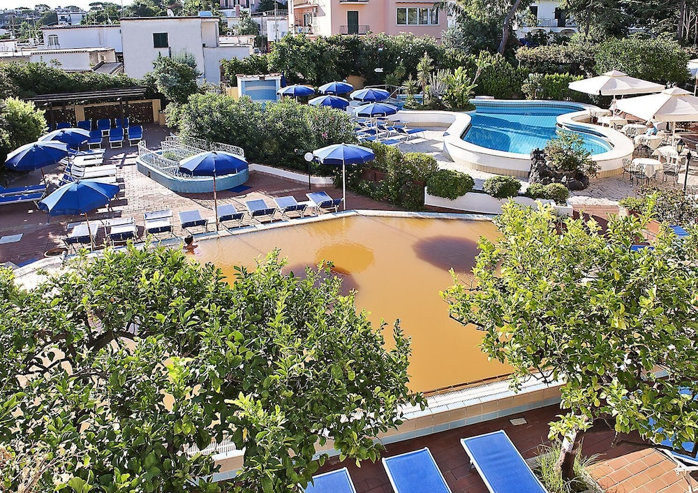 Royal Terme 35/43