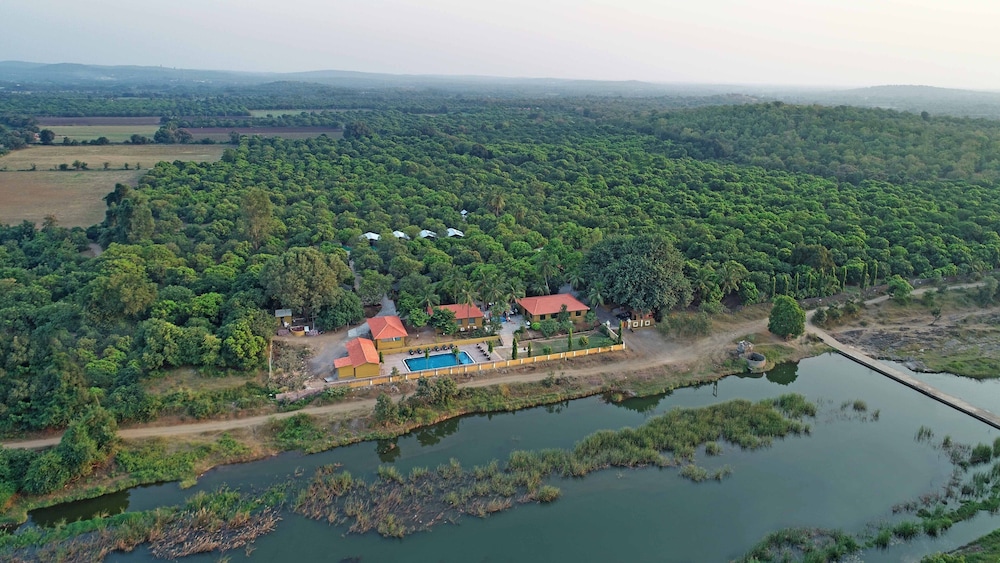 Gir Lion Safari Camp 31/36