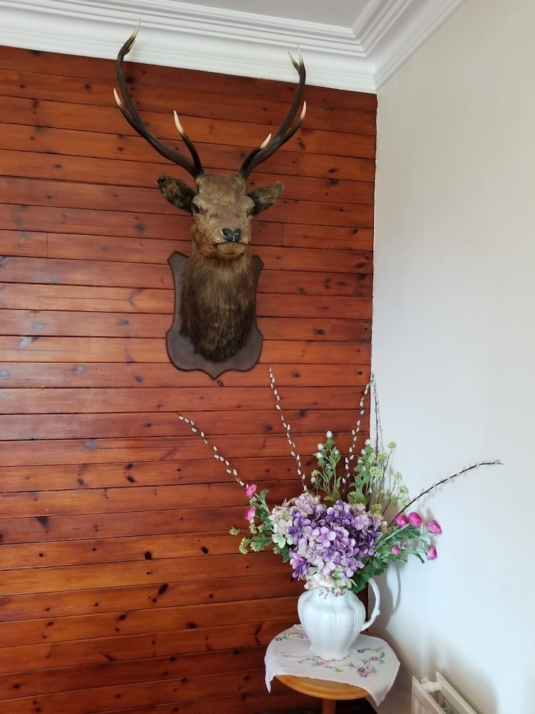 Glenan Lodge 5/50