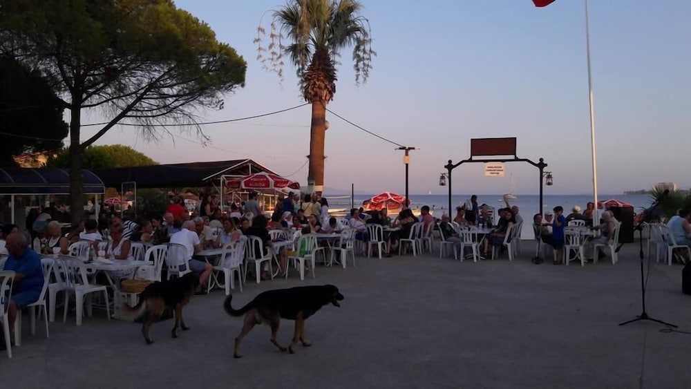 Hotel Fiesta Beach Didim 32/47