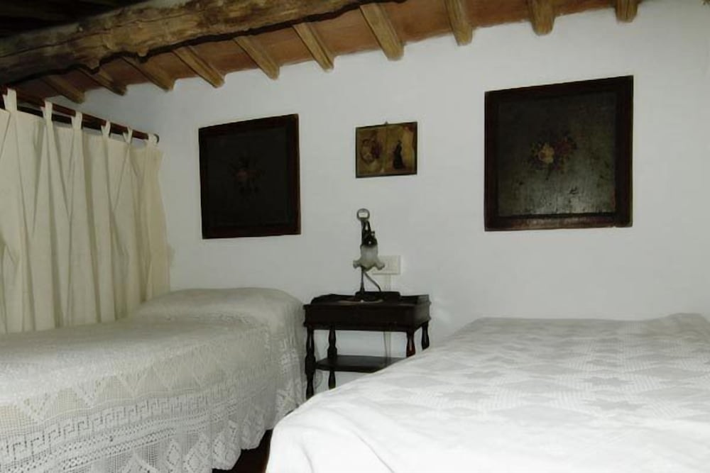 Lionforti Da Vico 15/44