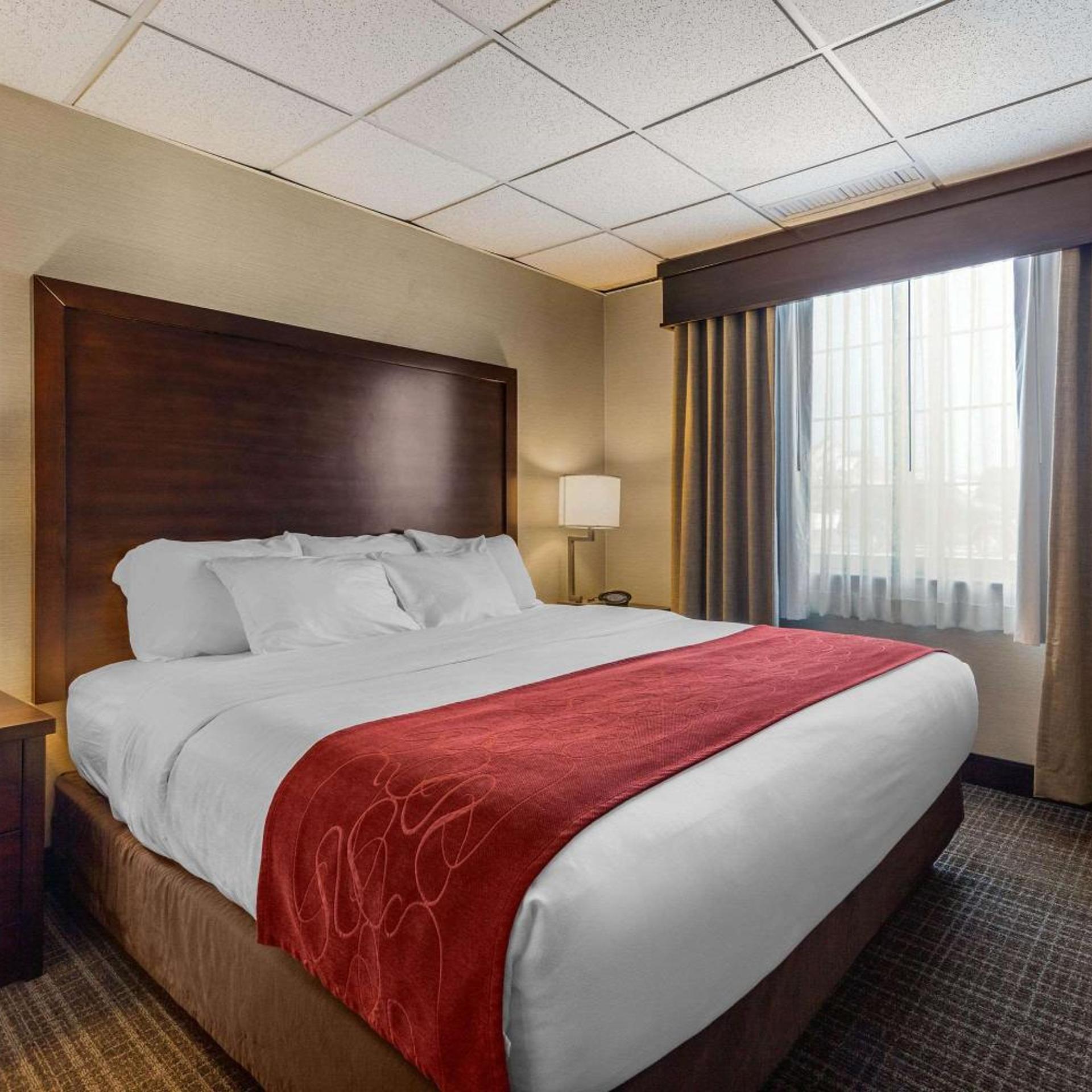 Superior, Suite, King Bed