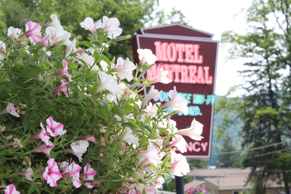 The Motel Montreal 4/69