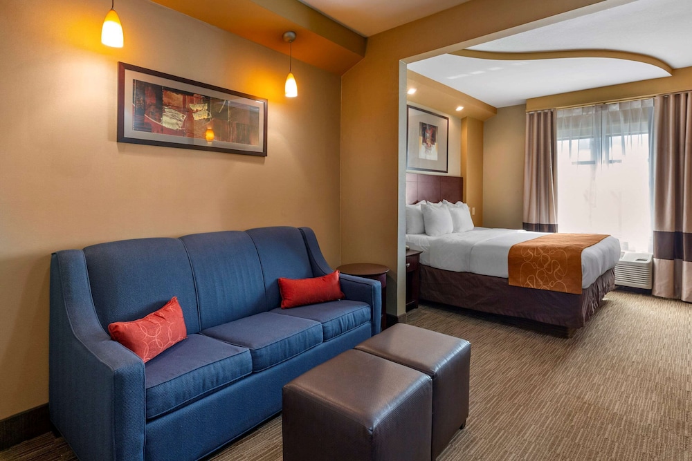 Comfort Suites Perrysburg - Toledo South 33/49