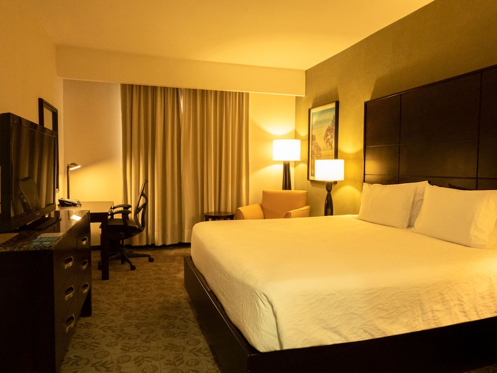 Evolution, Suite, King Bed