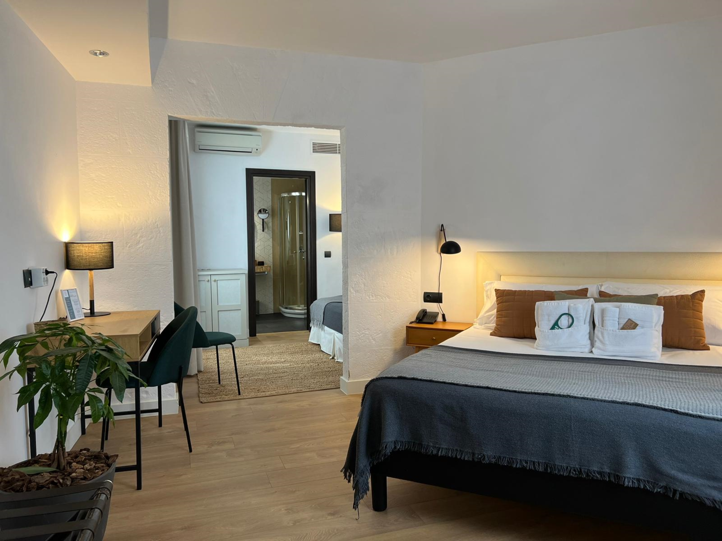 Hotel San Miguel 18/50