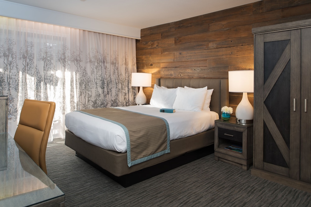 STANDARD, SINGLE, QUEEN BED