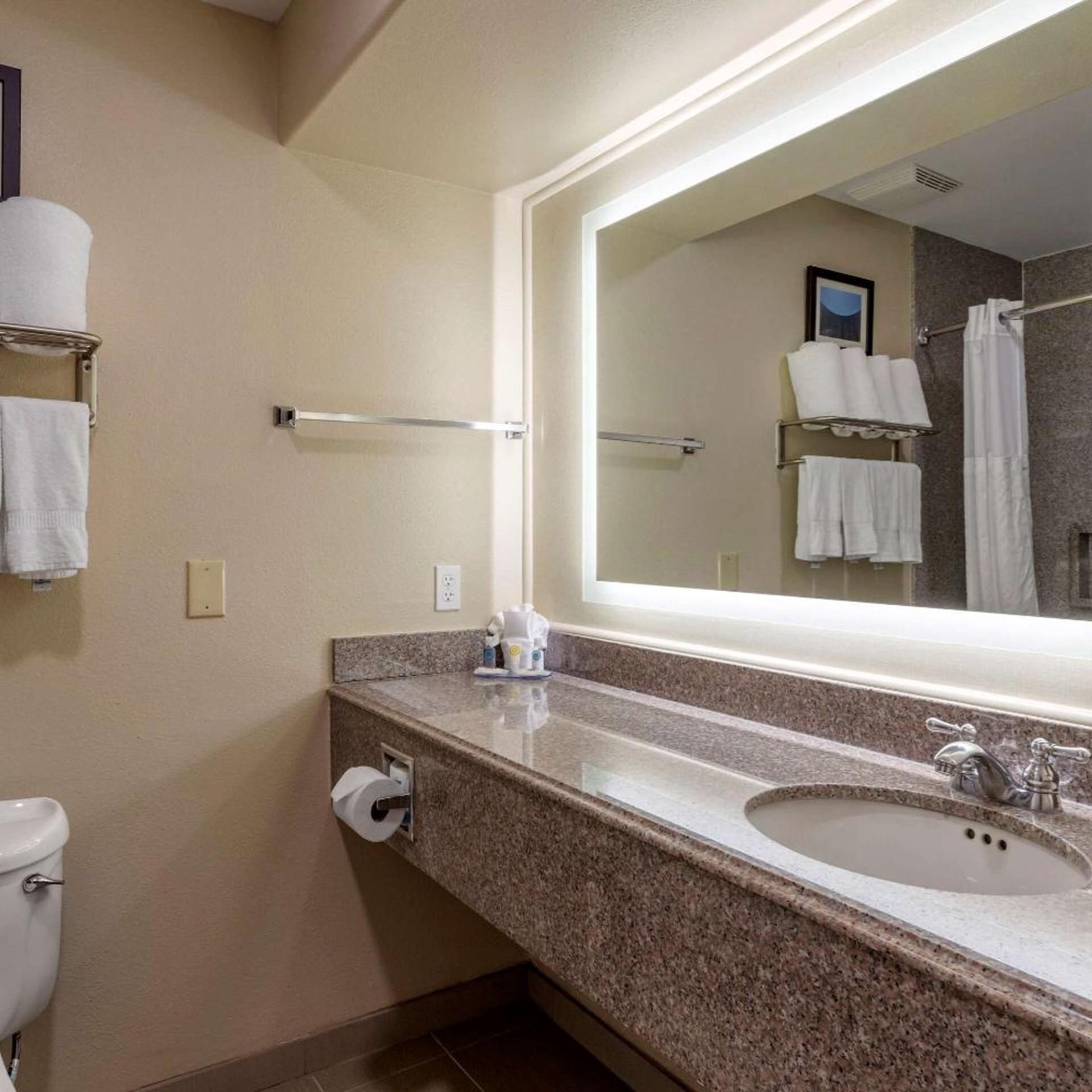 جناح بغرفة نوم واحدة بحوض جاكوزي لذوي الإعاقة، Comfort Suites Houston near Medical Center- NRG Stadium 7/8