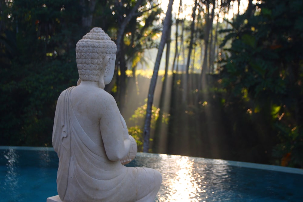BeingSattvaa Luxury Ubud 42/50