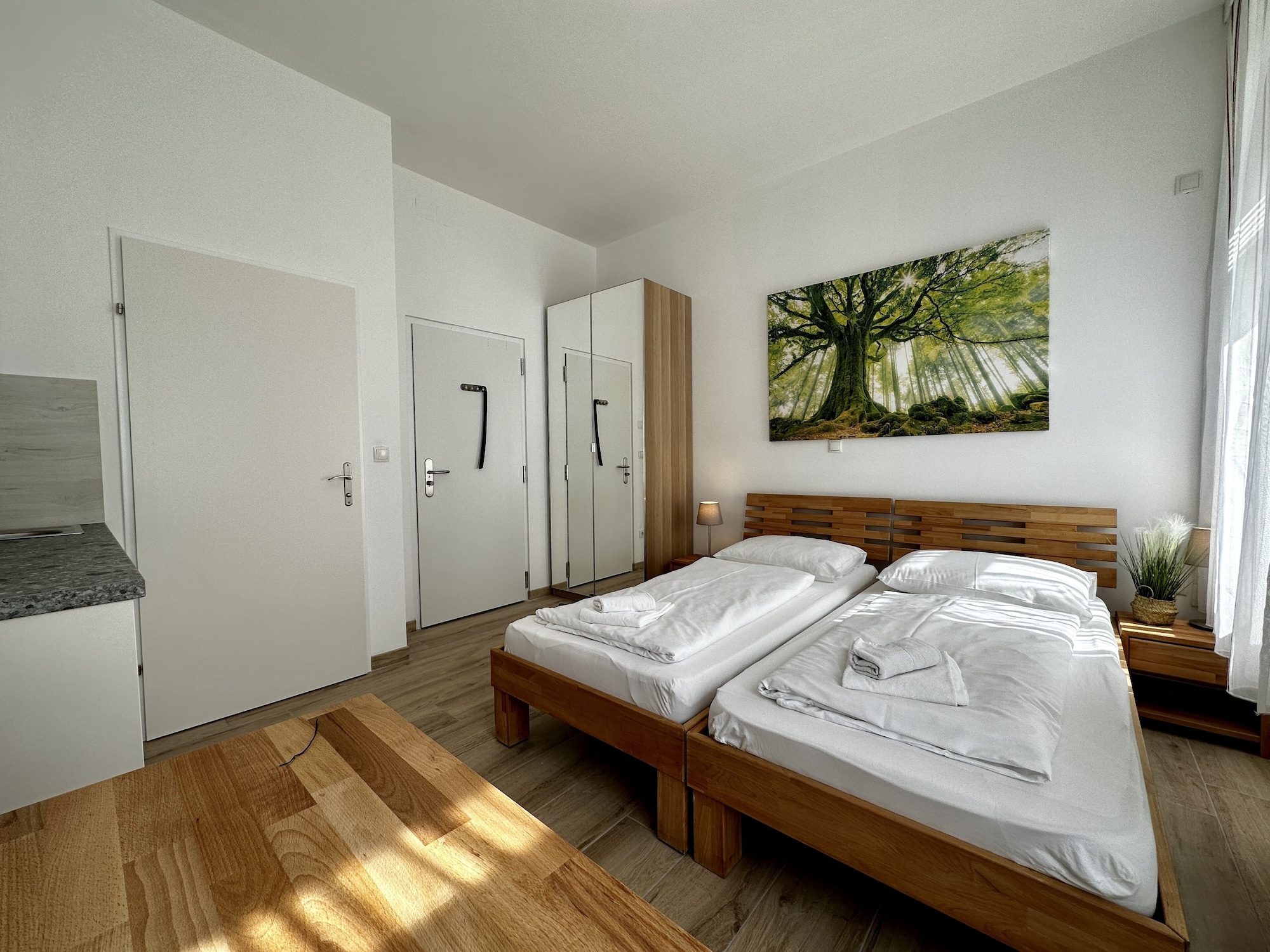 DELUXE, STUDIO, KITCHEN