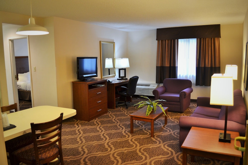 Ashmore Inn and Suites 37/61