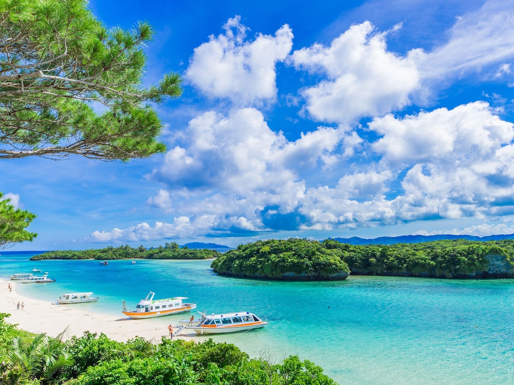 Toyoko Inn Ishigaki Jima 43/50