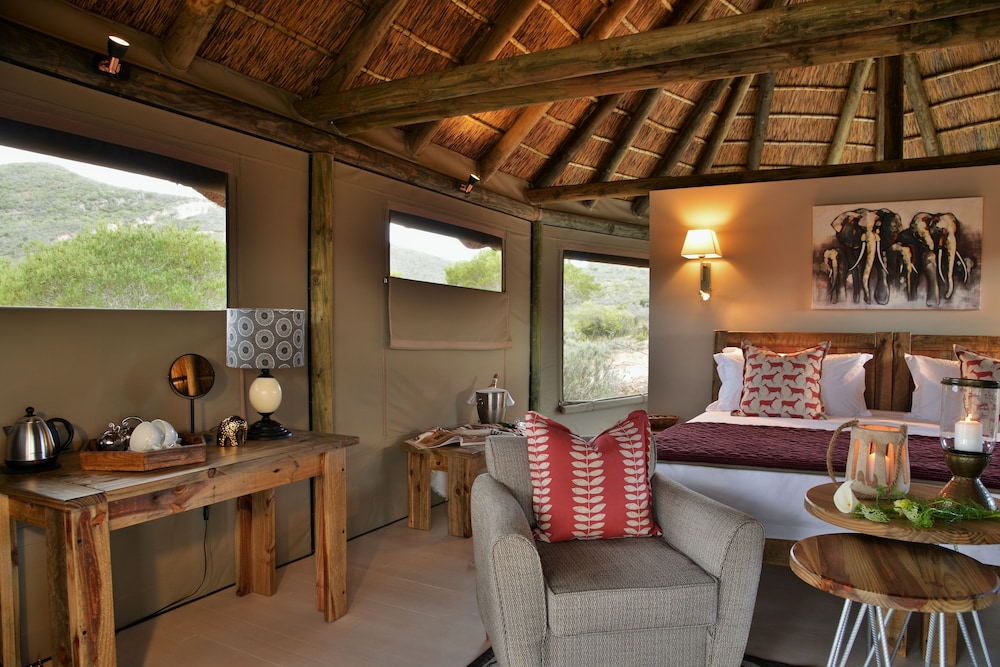 Garden Route Safari Camp 23/50