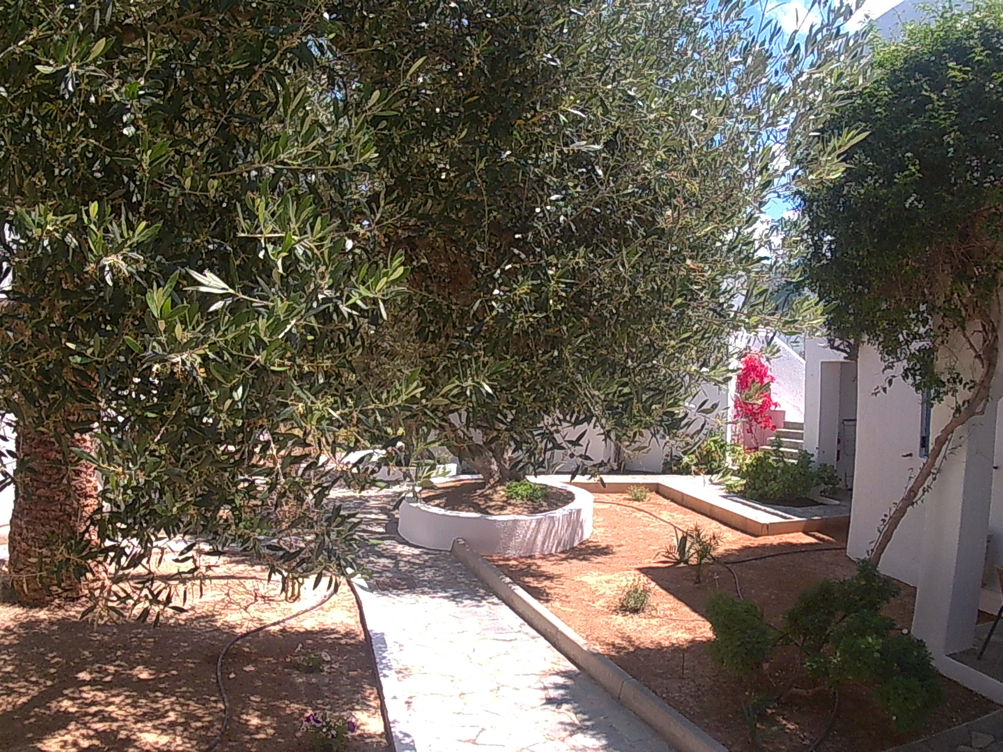Palatia Village Apartments 18/21