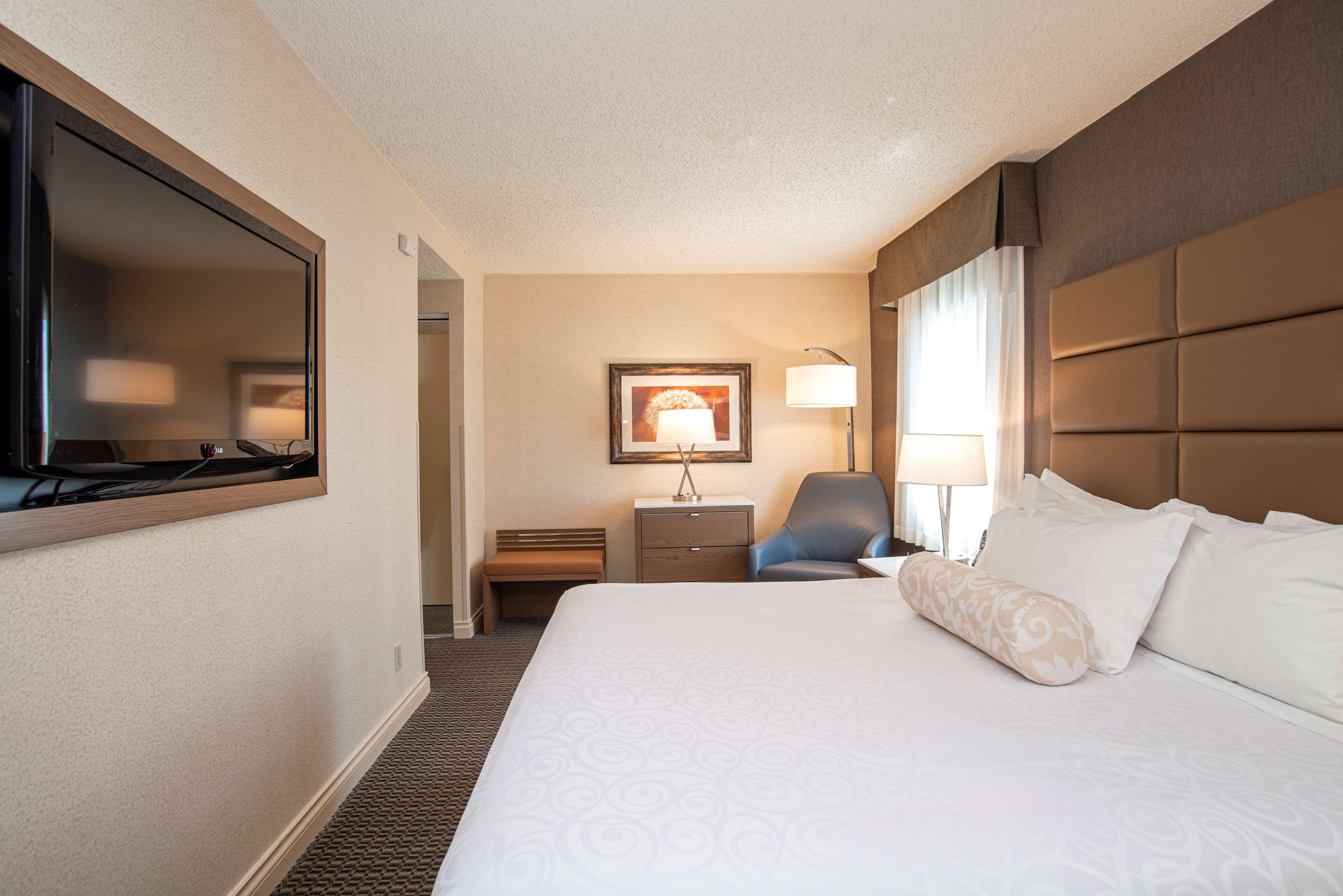 Suite, King Bed