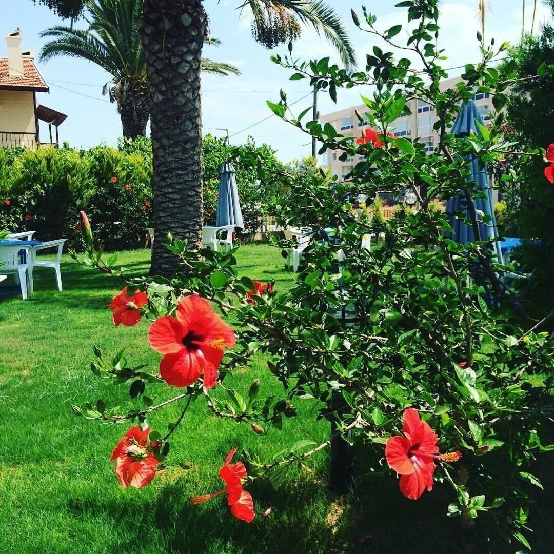 Maviev Otel 13/15