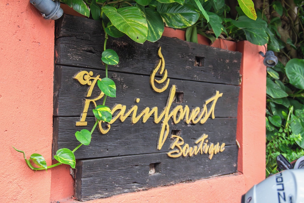 Rainforest Chiangmai Hotel 3/81