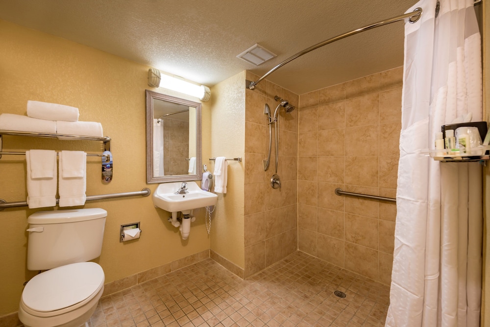 Holiday Inn & Suites Orlando SW - Celebration Area 16/62