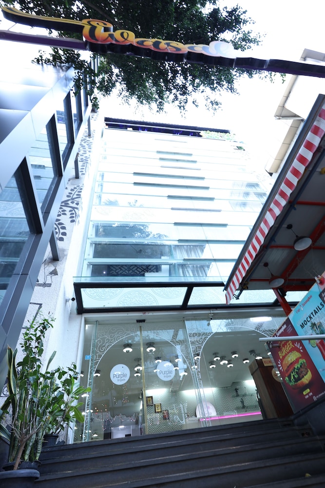 Mango Hotels - Purple Brigade 2/50