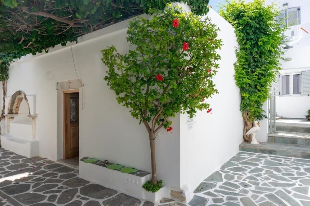 Pelican Paros 37/50