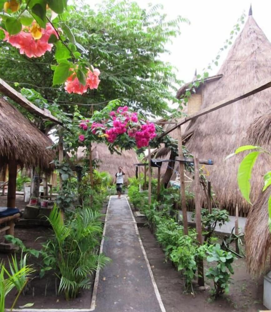 Fantastic Hostel Gili 44/49