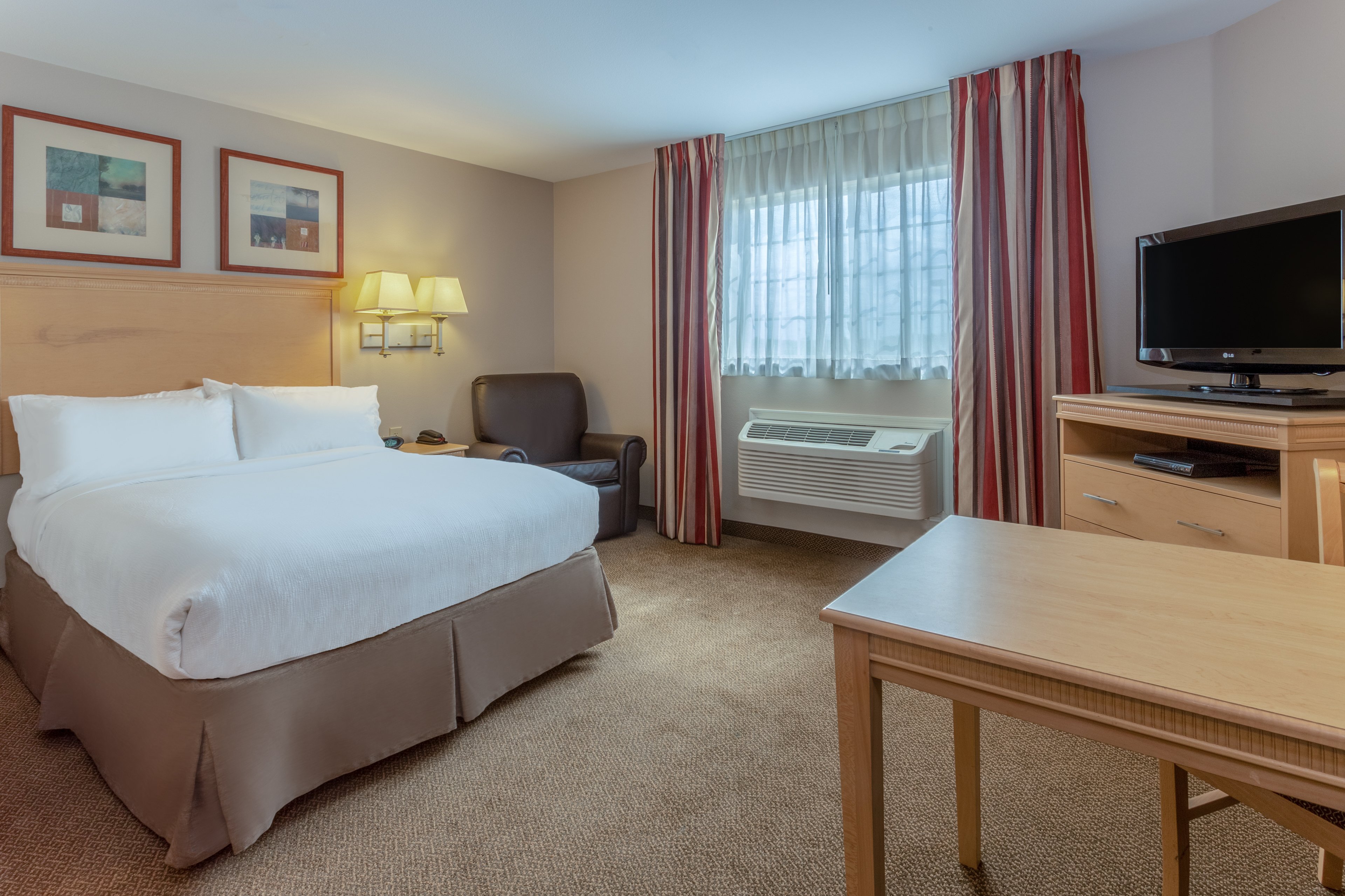 جناح استوديو بسرير كوين لذوي الإعاقة