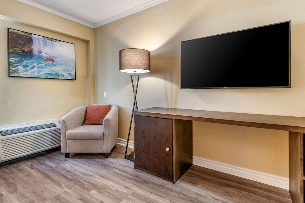 Quality Inn and Suites Niagara Falls ON 23/30