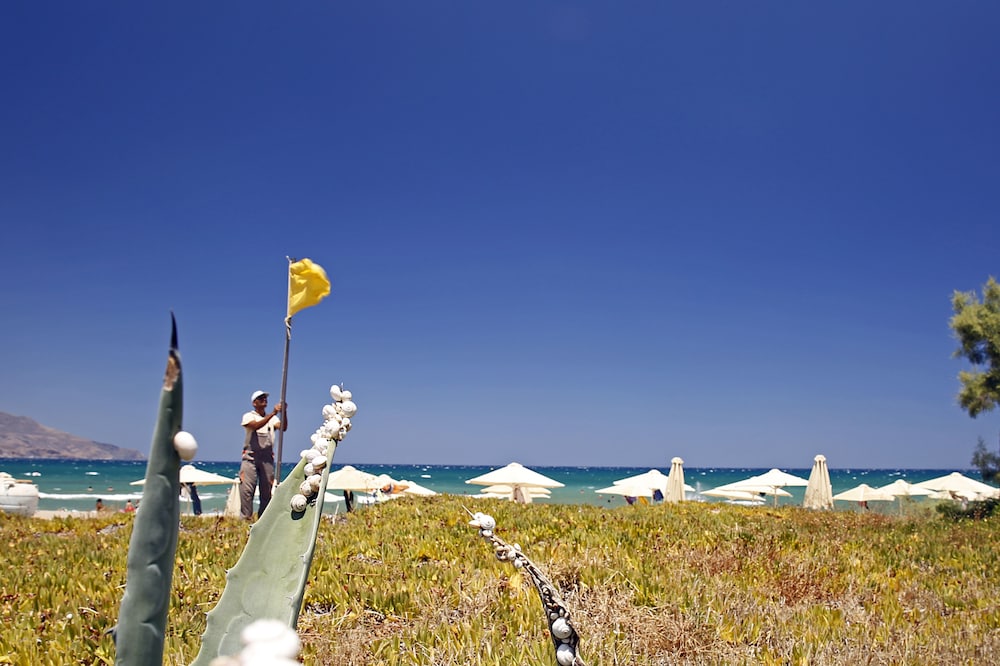 Orpheas Resort - Adults Only 64/71