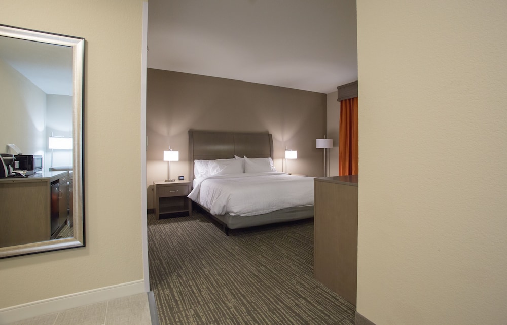 Hilton Garden Inn Bolingbrook I-55 18/79