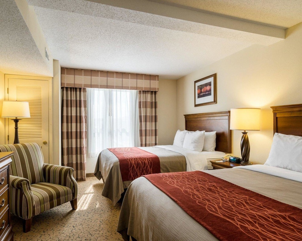 Comfort Inn & Suites Dover near Speedway 10/56